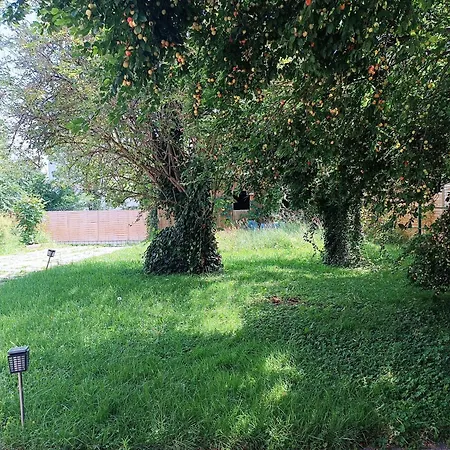 A Place To Be - Ruhelage Mit Gratis Parkplatz * Graz