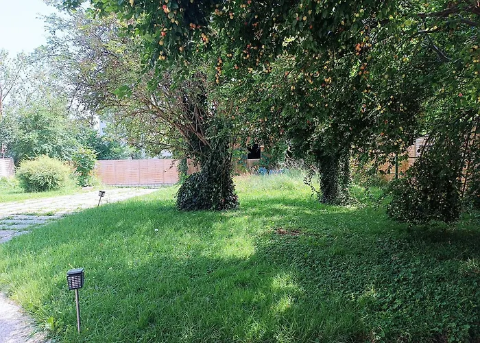 A Place To Be - Ruhelage Mit Gratis Parkplatz * Graz